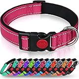 Taglory Hundehalsband, Weich Gepolstertes Neopren Nylon Hunde Halsband für Kleine Hunde, Verstellbare und Reflektierend für das Training, Hot Pink