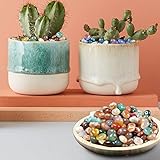 goodjinHH 01 Kleine Natursteine Dekoratives Stein Set,Pflanze Blumentopf Aquarium Dekoratives Steinset,Botanischer Ornamentstein,Buntes Stein Sukkulenten Pflastersteinset (Mehrfarbig)