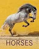 The World's Most Beautiful Horses / Die schönsten Pferde der Welt / Los caballos mas bellos del mundo (Spectacular Places)