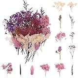 gerFogoo Natürliche Getrocknete Blumen, DIY Mehrfarbige Echte Getrocknete Gepresste Blumen für Harz, Scrapbooking, Handwerk, Schmuckanhänger Basteln, DIY