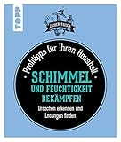 Schimmel und Feuchtigkeit bekämpfen: Profitipps für Ihren H