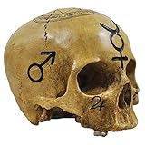 Totenkopf Witchcraft Skull - Deko Fig