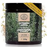 Artemisia Annua Extrakt (aus 3000g Artemisia-Annua hergestellt) I Ideal: 11% Artemisinin Hochdosiert im Verhältnis 30:1 aus Deutschland I einjähriger Beifuß I Vegan & Laborgeprüft I SCHEUNENGUT®