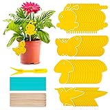 60Pcs Gelbsticker Fliegenfänger, Gelbtafeln Trauermücken Bekämpfen Zimmerpflanzen Topfpflanzen Gelbsticker, Wasserdicht Gelbfalle Mückenfalle Klebefalle für Fruchtfliegen Mücken Blattläuse N