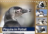 Pinguine im Portrait - Frackträger in Südafrika (Tischkalender 2022 DIN A5 quer) [Calendar] und Yvonne Herzog, Michael [Calendar] und Yvonne Herzog, M