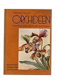 Orchideen und ihre Kultur im zimmer und gew