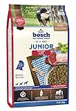 bosch HPC Junior mit Lamm & Reis | Hundetrockenfutter zur Aufzucht ernährungssensibler Welpen | 1 x 3 kg