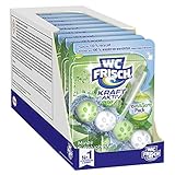 WC FRISCH Kraft Aktiv Pro Nature Minze und Eukalyptus, WC-Reiniger und Duftspüler 10 (10x1) Stück