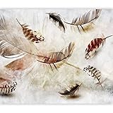 murando Fototapete Feder 350x256 cm Vlies Tapeten Wandtapete XXL Moderne Wanddeko Design Wand Dekoration Wohnzimmer Schlafzimmer Büro Boho Abstrakt Ornament n-C-0361-a-b