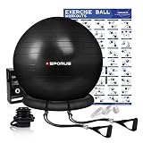 Sporus Gymnastikball mit Ballschale, Anti-Burst Fitnessball 65 cm Stuhl System und Widerstandsbändern, für Büro, Balance, Yoga & Fitness inkl. Schnellpumpe und Übungen-Poster Schw