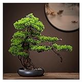OMING Bonsai Baum 18 Zoll künstlicher Bonsai-Baum, Kunststoff-Faux-Pflanzendekoration, gefälschter Baum für Zen-Garten- Dekor(mit Reinigungsbürste) Simulationsb