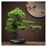 OMING Bonsai Baum 18 Zoll künstlicher Bonsai-Baum, Kunststoff-Faux-Pflanzendekoration, gefälschter Baum für Zen-Garten- Dekor(mit Reinigungsbürste) Simulationsb