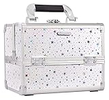 HAOKTSB Aufbewahrungskiste Makeup-Box-Eitelkeitskoffer-Kosmetik-Organizer-Box Schönheits-Speicher-Zug-Gehäuse mit Spiegel, abschließbar mit Tasten Aufbewahrungsbox für Schmuck