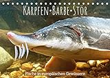 Karpfen, Barbe, Stör: Fische in europäischen Gewässern (Tischkalender 2022 DIN A5 quer) [Calendar] CALVENDO [Calendar] CALVENDO