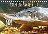 Karpfen, Barbe, Stör: Fische in europäischen Gewässern (Tischkalender 2022 DIN A5 quer) [Calendar] CALVENDO [Calendar] CALVENDO