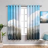 JYDFC 2 Stück Vorhänge Für Das Kinderzimmer Des Mädchens - Wärmedämmung Geräuschreduzierung - Schlafzimmer Vorhänge Für Jungen Mädchen - 264X210 Cm - Landschaft Blauer Himmel W