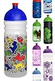 ISYbe Trinkflasche, schadstofffrei, spülmaschinengeeignet, auslaufsicher (700ml, Haring, transparent)