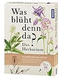 Was blüht denn da? - Das Herbarium: Pflanzensammlung anleg
