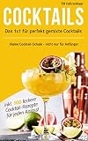 Das 1 x 1 für perfekt gemixte Cocktails: Kleine Cocktail-Schule - nicht nur für Anfänger inklusive 100 leckere Cocktail-Rezepte für j