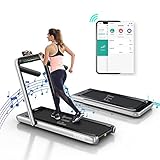 Fitifito ST100 2021 Edles Laufband Walkingpad im Büro Mini klein zuhause 1.0-12 km/h Bluetooth Fernbedienung komplett klappbar verstaubar mit Handyhalter Dualer Bildschirm (Silber)