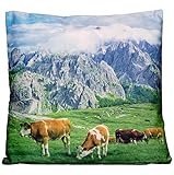 Kissenhüllen 40x40 cm Dekokissen Kissenbezug Fotokissen Kissen Hüllen Bezug Bezüge Kü