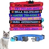 Graceful life Katzenhalsband,Benutzerdefinierte Breakaway Cat Collar Personalisierte Cat-ID Collar Bestickte Pet Name Telefon Sicherheitshalsbänder mit Glocke (5 Color, Paw)