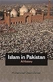 Islam in Pakistan: A History (Princeton Studies in Muslim Politics, Band 68)