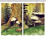 TISAGUER Scheibengardine,Grün Herbst Bunte Wiese Baumstumpf Farn Blätter Natur 3D Märchen Fantasy Wald Roman Gras,Vorhang Durchstangenzug Gardine Küche Tür Korridor Gardine 55x39