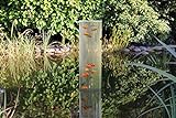 Wasserkunst Fischsäule 100 cm x 20 cm Durchmesser | Fischturm aus PLEXIGLAS | Fischfahrstuhl für Fische | 3 mm Wandstärke aus transparentem Acrylglas für Goldfische für Ihren T