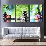 Grüne Bambus Orchidee Stein Bild Malerei auf Leinwand Naturlandschaft Wandkunst Blumenfotos für Wohnkultur-40x60cm|15.7x23.6'X3 Kein R