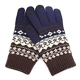 BAXNUYANIOP Fäustlinge Winter DamenTouchscreen Warme Winterhandschuhe Plüschhandschuhe Frauen Winter Gloves Fingerhandschuhe Sport Warm Winddicht H