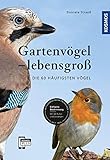 Gartenvögel lebensgroß: Die 60 häufigsten Vögel, Einfache Bestimmung, Mit 60 Rufen und Gesäng