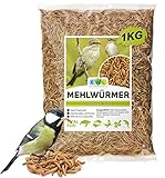 EWL Naturprodukte Mehlwürmer getrocknet 1kg = 6500ml Insektensnack für Vögel, Fische, Schildkröten, Nager und Rep