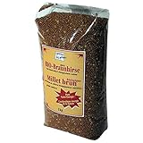 Gesund + Leben Braunhirse ganze Körner 1000g (bio, roh, vegan) Saat S