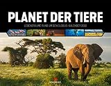 Planet der Tiere, Lebensräume rund um den Globus, Kalender 2022, Wandkalender im Querformat (54x42 cm) - Hochwertiger Tierkalender, W