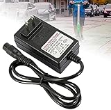 N/S Ladegerät Elektrorasierer Scooter 3.3 FT Netzkabel für Rasierer Elektroroller Akkuladegerät E100 E200 E300 E125 E150 E500 29,4V 1A N