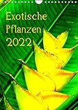 Exotische Pflanzen (Wandkalender 2022 DIN A4 hoch) [Calendar] Brun, Annina [Calendar] Brun,