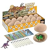 Morkka 12 Stück Dinosaurier Eier Party Supplies Spielzeug Spiele Fossilien Dino Eier Dig Kit Dino Eier Ausgraben Dinosaurier Party Favors STEM Science Spielzeug für Kinder im Alter von 4 +