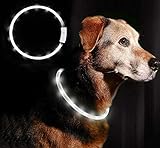 Anicoll LED Leuchthalsband Hunde Halsband weiß USB wiederaufladbar - Längenverstellbarer Haustier Sicherheit Kragen für Hunde und Katzen- 4 Modus 12 L