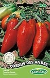 Germisem Tomate CORNUE DE ANDES