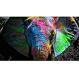 Graffiti Kunst Elefant Leinwand Gemälde an der Wand Bunte Tiere Große Poster und Drucke Wandbilder für Kinderzimmer 30x60cm R