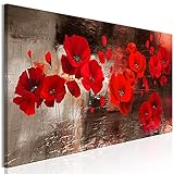 murando Acrylglasbild Mohnblumen 120x40 cm 1 Teile Wandbild auf Acryl Glas Bilder Kunstdruck Moderne Wanddekoration Blumen Pflanzenmotiv Textur wie gemalt b-A-0796-k