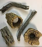 catappa-leaves Natur Deko Set für Aquarien und Terrarien 5 Stücke Cholla Kaktus H