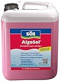 Söll 10345 AlgoSol Teichpflege gegen Algen im Teich 5 l - hocheffektives Teichpflegemittel Algenmittel mit Lichtfilter gegen Teichalgen Schwebealgen Blaualg