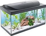 Tetra Starter Line 54 L Aquarium Komplett-Set mit LED-Beleuchtung - stabiles Einsteigerbecken mit Technik, Futter und Pflegemitteln, Farbe: Schw