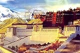 ZMGYA Erwachsenen Puzzle 1000 TeileKind Puzzles City ​​building-4000 Erwachsenenpuzzlehandgefertigte DIY-Anpassung, einzigartig