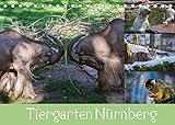 Tiergarten Nürnberg (Tischkalender 2022 DIN A5 quer)