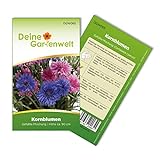 Kornblume Gefüllte Mischung Samen - Centaurea cyanus - Kornblumensamen - Blumensamen - Saatgut für 100
