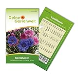 Kornblume Gefüllte Mischung Samen - Centaurea cyanus - Kornblumensamen - Blumensamen - Saatgut für 100