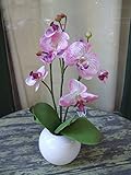 Licht & Grün exclusive Kunstpflanzen Künstliche Orchidee mit schönen Blüten und Knospen im runden Keramikgefäß